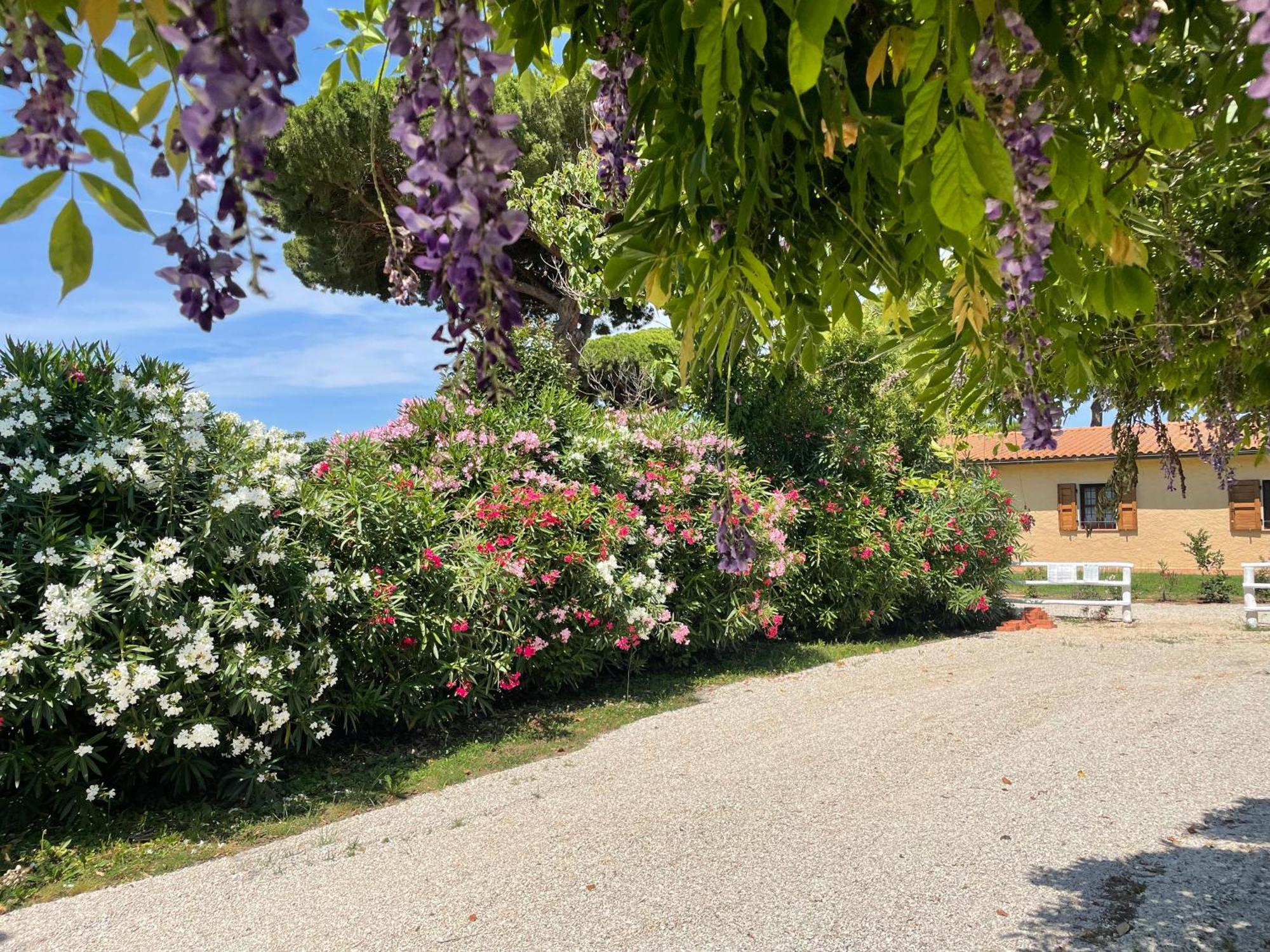 Agriturismo Arundineto Valle Castagneto Carducci Esterno foto