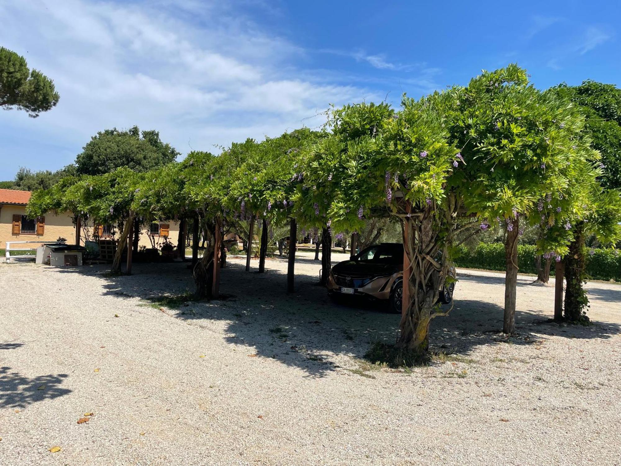 Agriturismo Arundineto Valle Castagneto Carducci Esterno foto