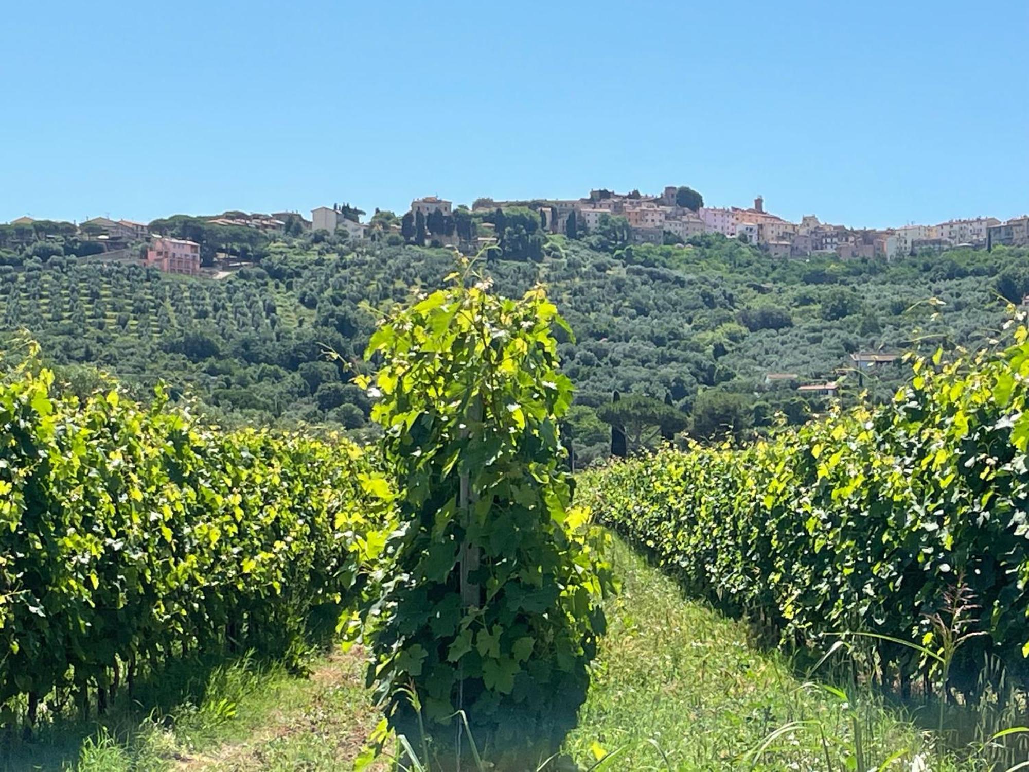 Agriturismo Arundineto Valle Castagneto Carducci Esterno foto